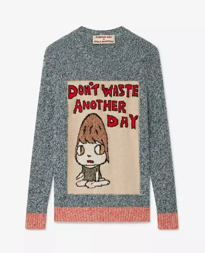 Pull en coton avec slogan « Don&rsquo;t Waste Another Day »