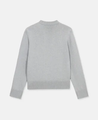 Pull en coton biologique Platinum Dream