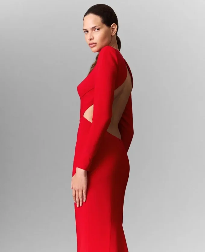 Robe longue à manches longues et dos nu Robe longue à manches longues et dos nu