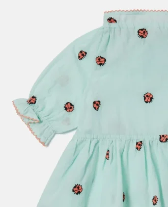 Robe à manches courtes festonnées Ladybird