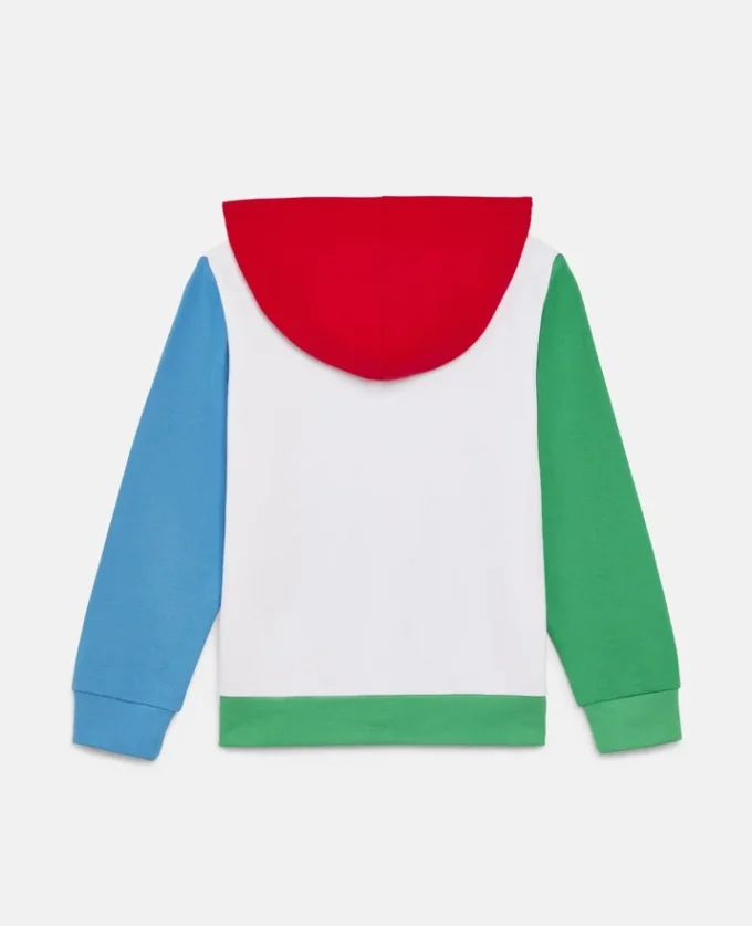 Sweat à capuche zippé en molleton color block Sweat à capuche zippé en molleton color block