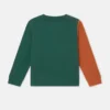 Sweat-shirt Grizzly Bear