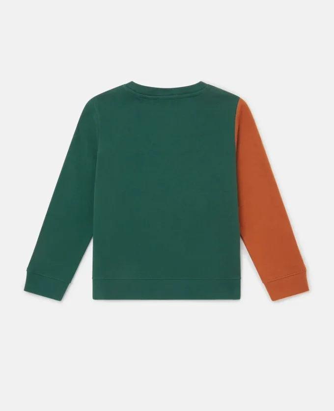 Sweat-shirt Grizzly Bear